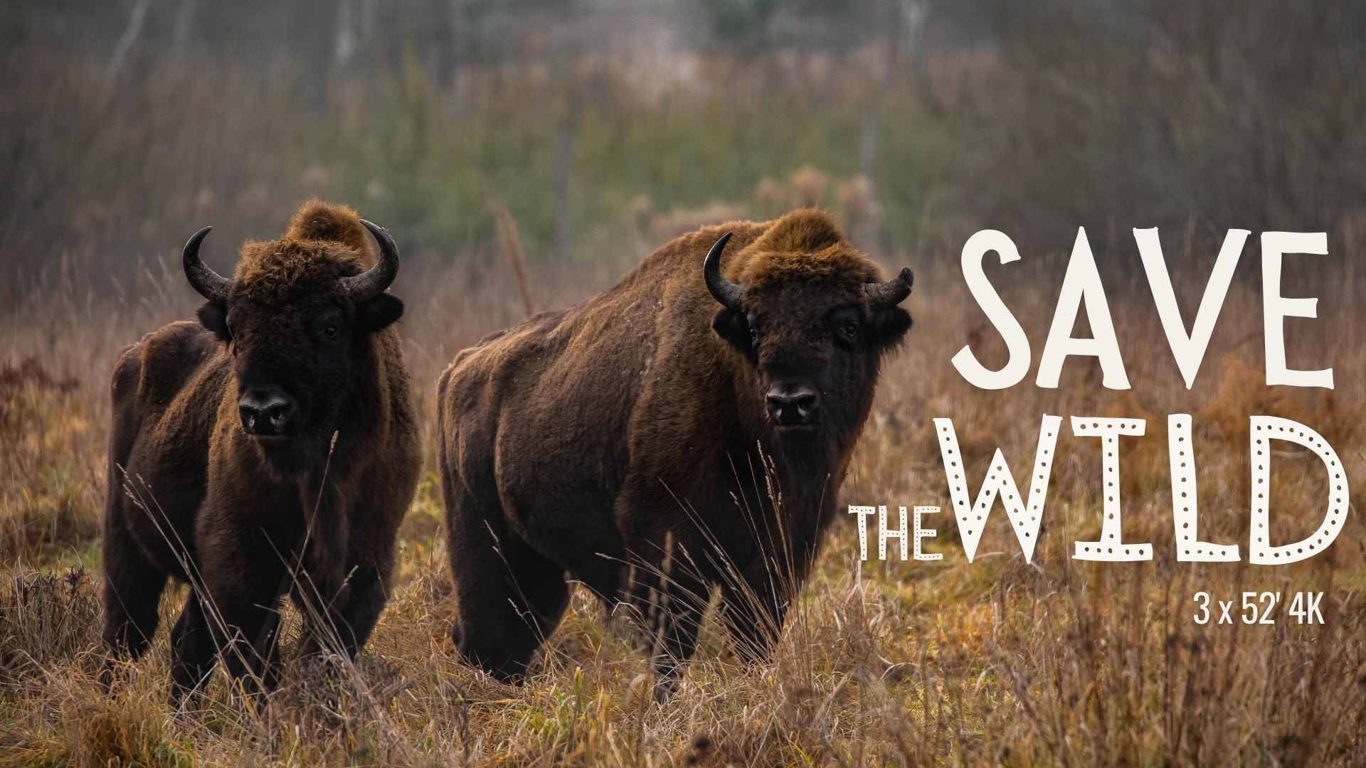 Save the Wild