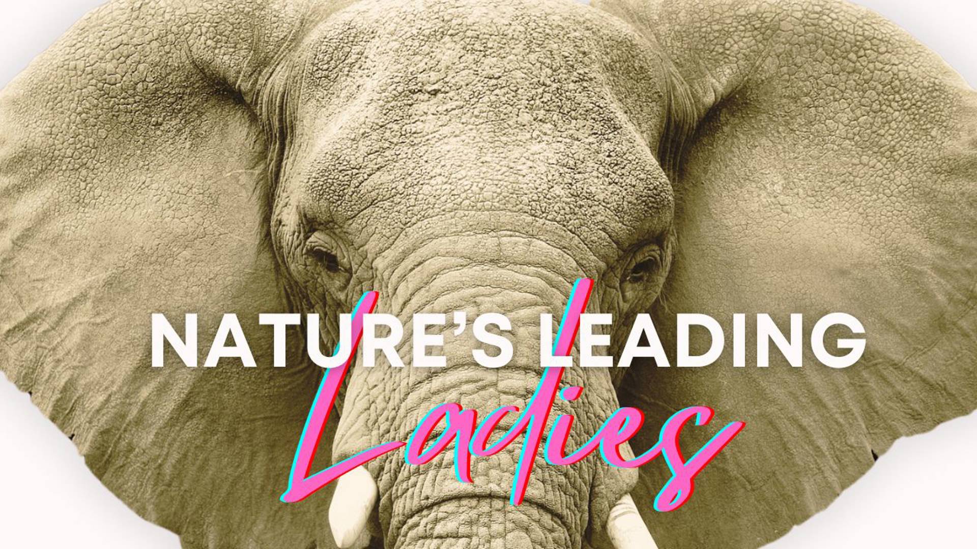 Nature's Leading Ladies
